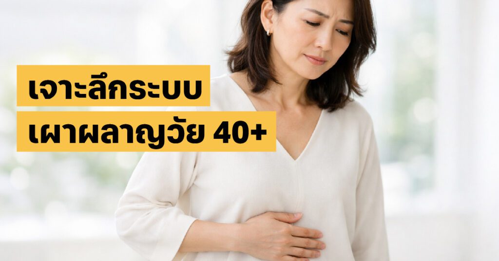 ระบบเผาผลาญวัย 40