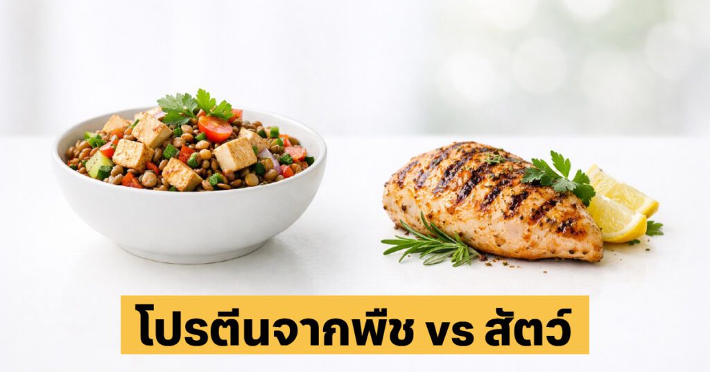 โปรตีนพืช vs โปรตีนสัตว์