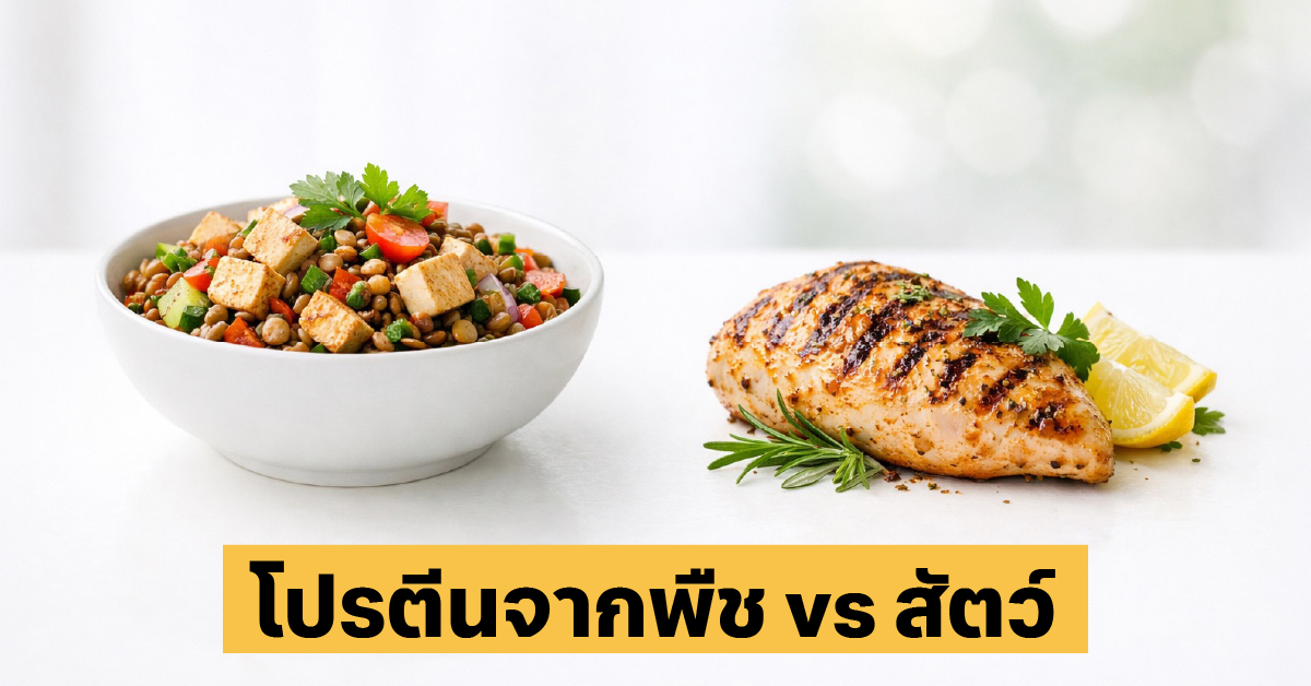 โปรตีนพืช vs โปรตีนสัตว์