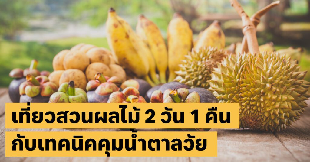 เที่ยวสวนผลไม้ ระยองเที่ยวไทย, สวนผลไม้, สุขภาพ40+