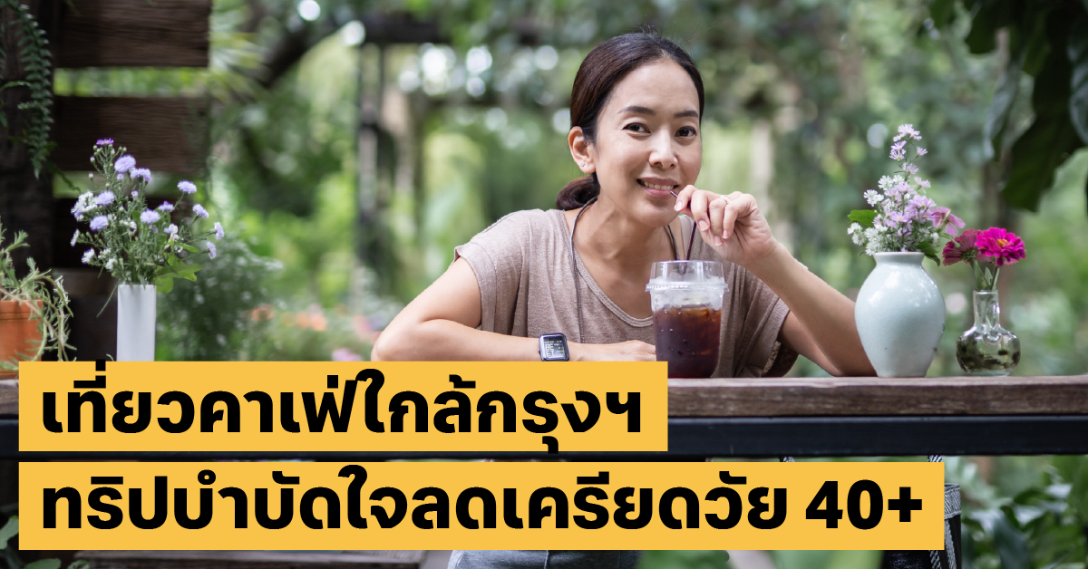 คาเฟ่ในสวน ใกล้กรุงเทพสุขภาพจิต, คาเฟ่, เที่ยวไทย